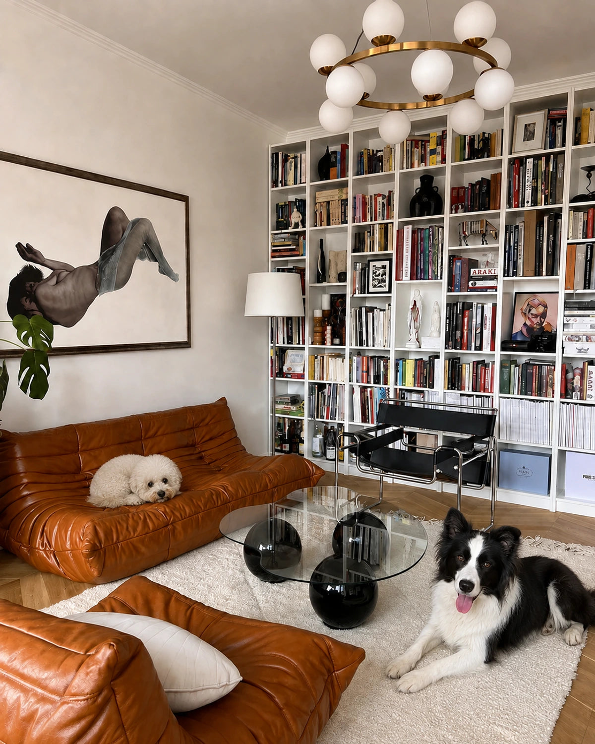 Interior styling scene: Tuantuan resting on a cognac low-profile sofa and Paopao beside a glass table in a book-lined room
